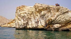 Marine Life and Conservation: Exploring Oman's Coastal Biodiversity